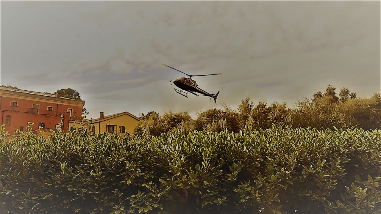 Gartenanlage Il Picciolo Etna Golf Resort & Spa