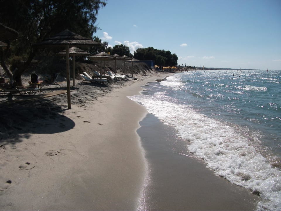 Blick nach rechts TUI BLUE Palazzo del Mare