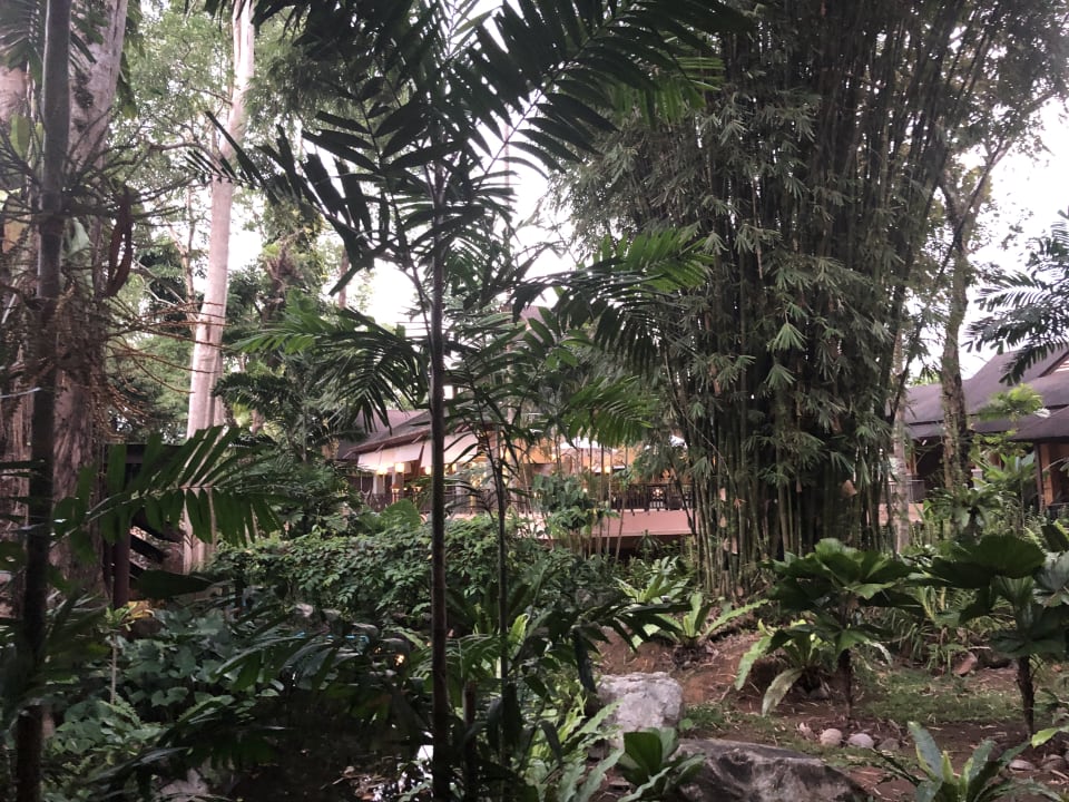 Gartenanlage Khao Lak Merlin Resort