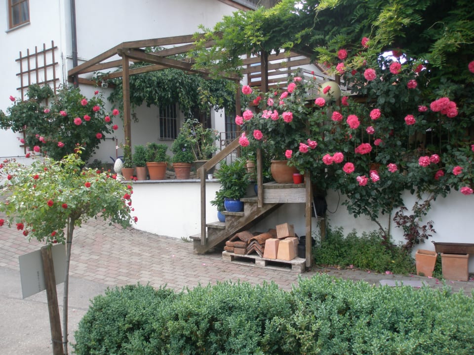 Gartenanlage Landhotel Elfenhof