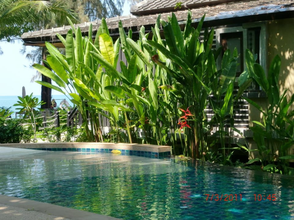 Bungalow von hinten Moracea by Khao Lak Resort