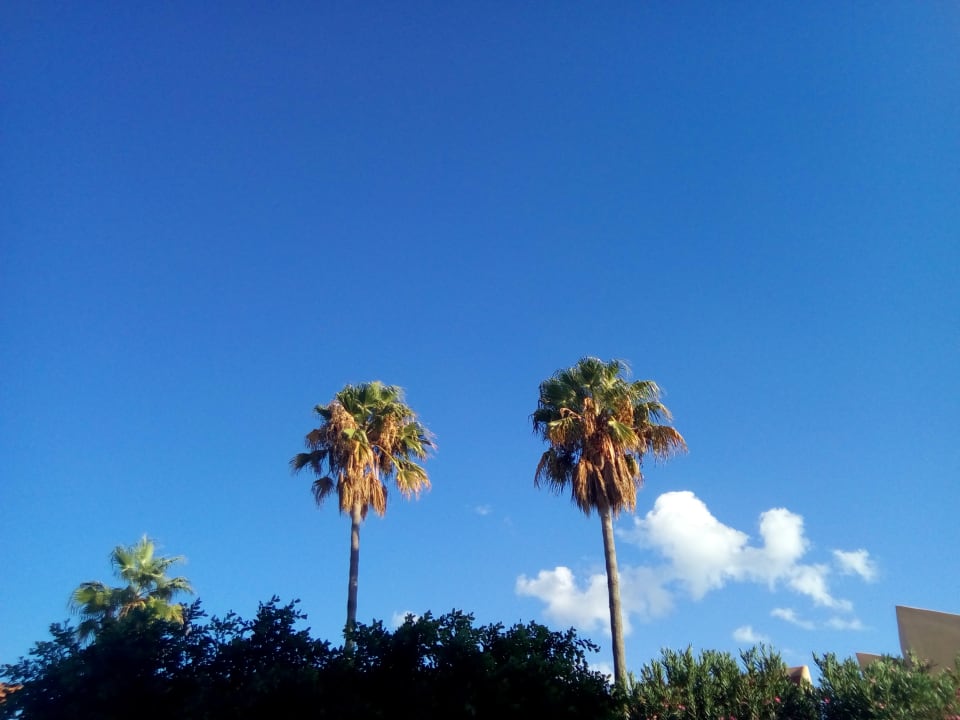 Außenansicht Ilios K Village Resort