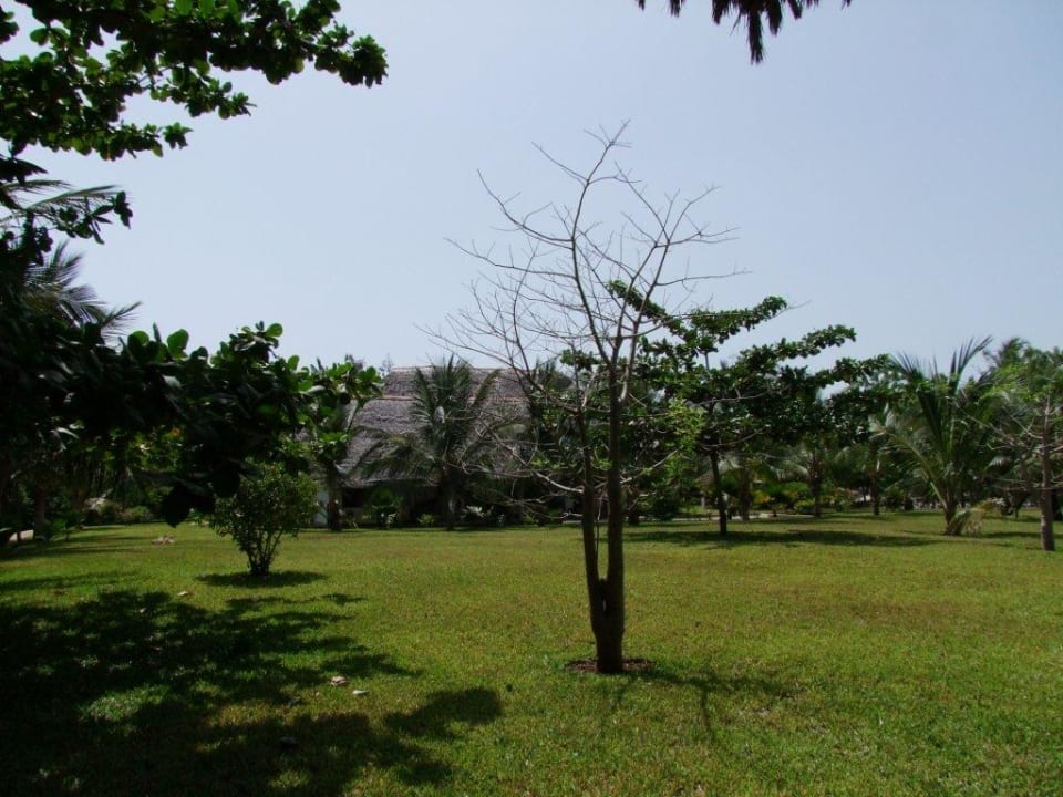 Ausblick von unserem Bungalow Nina. Hotel Karibuni Rafiki Beach Resort