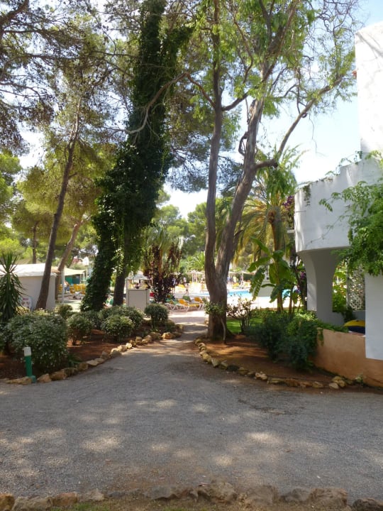 Der Weg TUI MAGIC LIFE Cala Pada