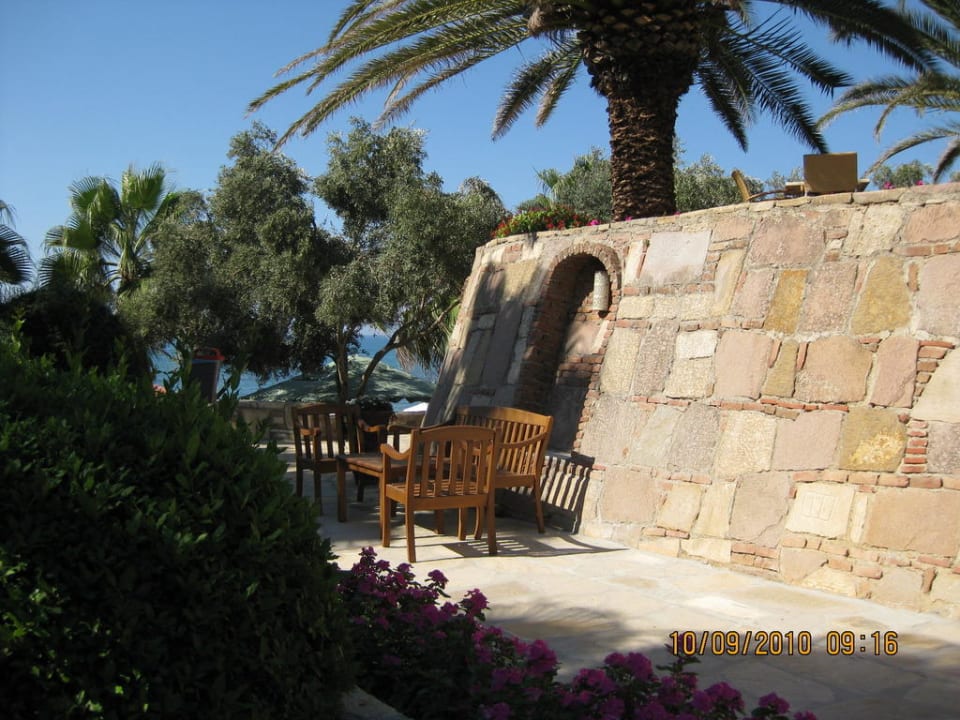 Ein Platz zum Verweilen Arum Barut Collection