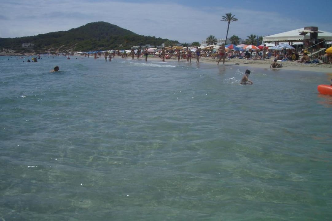 Traumhafte Wasserqualität FERGUS Style Bahamas