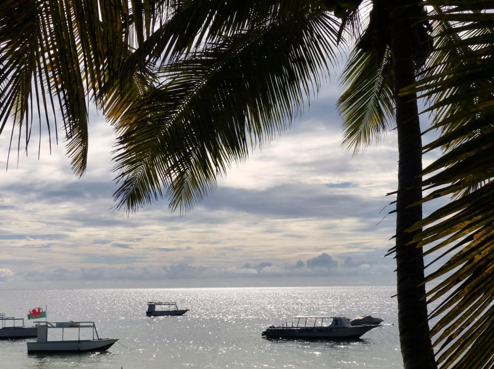 Wenn das Wasser da ist Hotel Traveller's Club