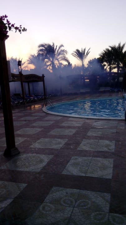 Tägliches Ausräuchern, ätzend und giftig Riviera Aqua Park Resort