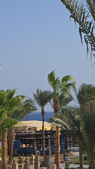 Außenansicht Pickalbatros Oasis Hotel - Port Ghalib