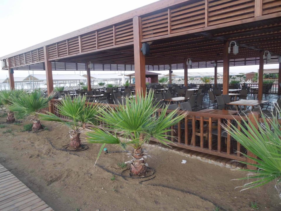 Beach Restaurant Royal Taj Mahal Hotel