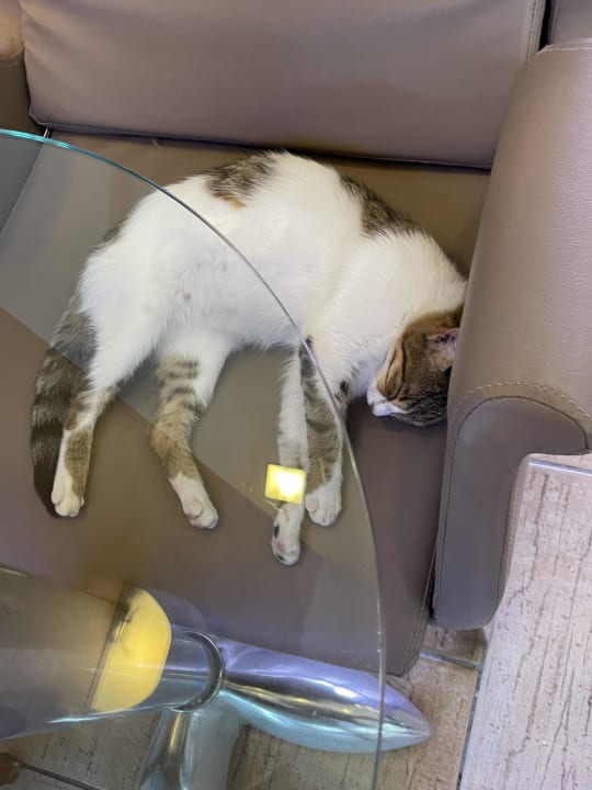 Sonstiges Limak Limra Hotel & Resort