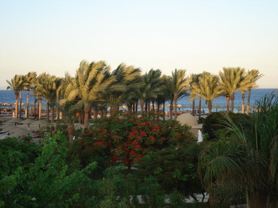Aussicht vom Hotel Grand Makadi