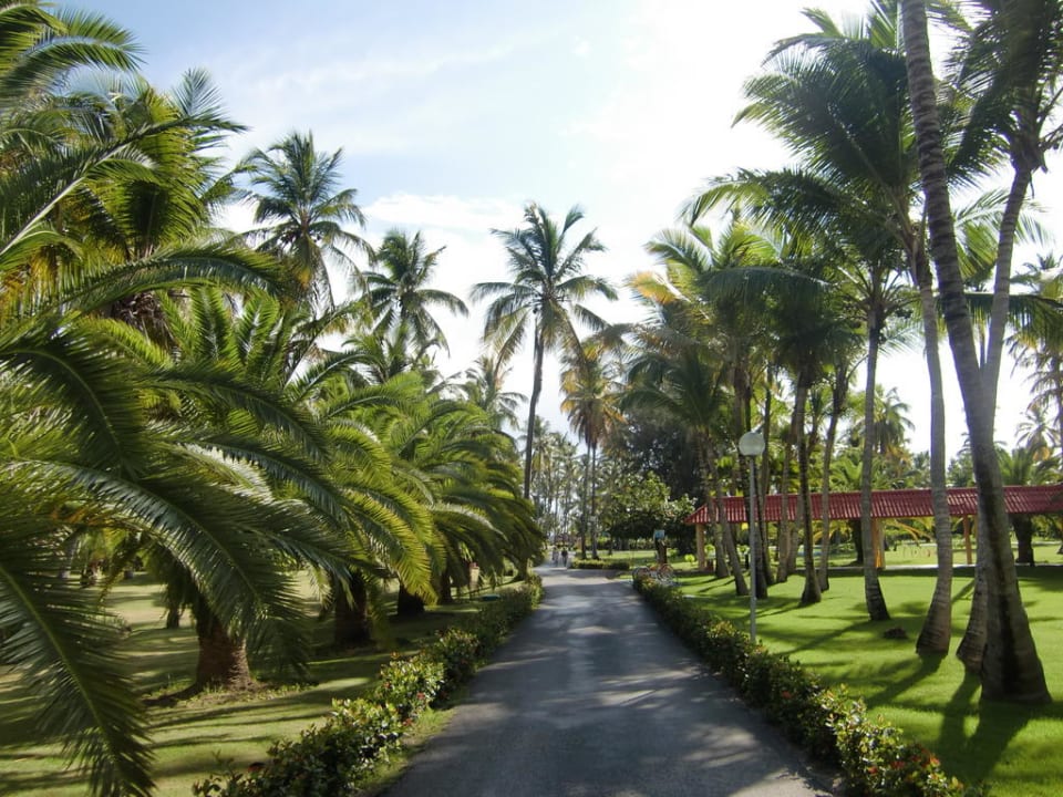 Weg zum Strand Grand Palladium Select Bávaro Resort & Spa