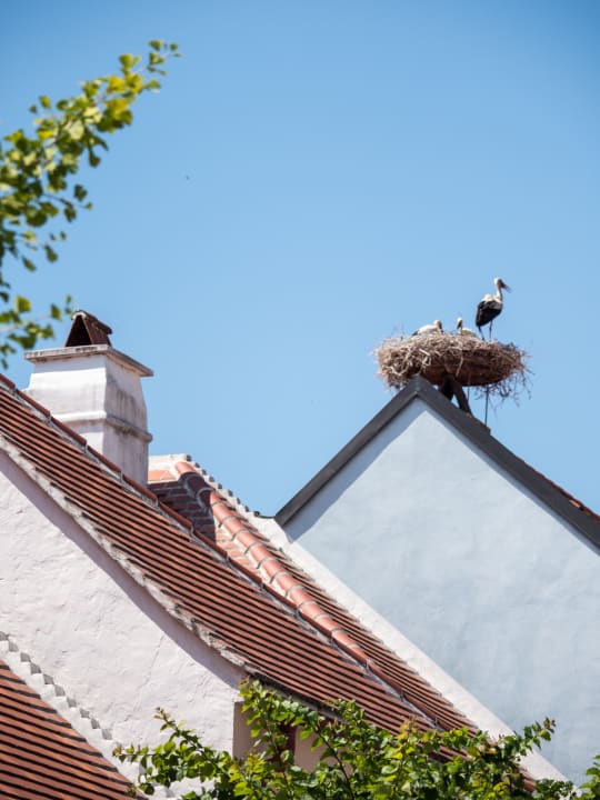 Ausblick Hotel Schandl