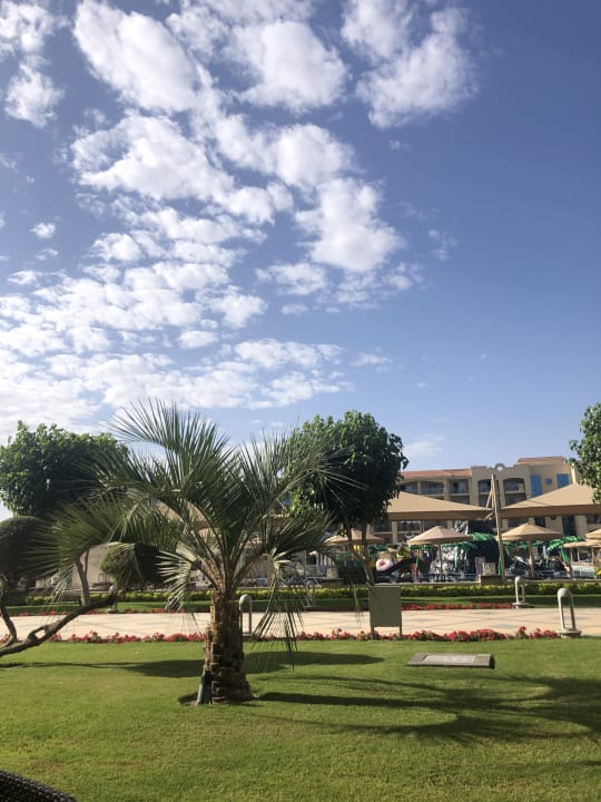 Ausblick Pickalbatros White Beach Resort - Hurghada