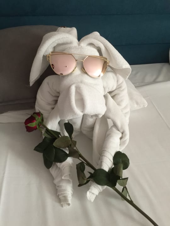 Zimmer Dream World Resort & Spa