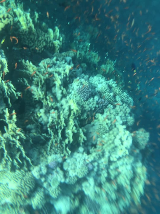 Strand Casa Mare Resort