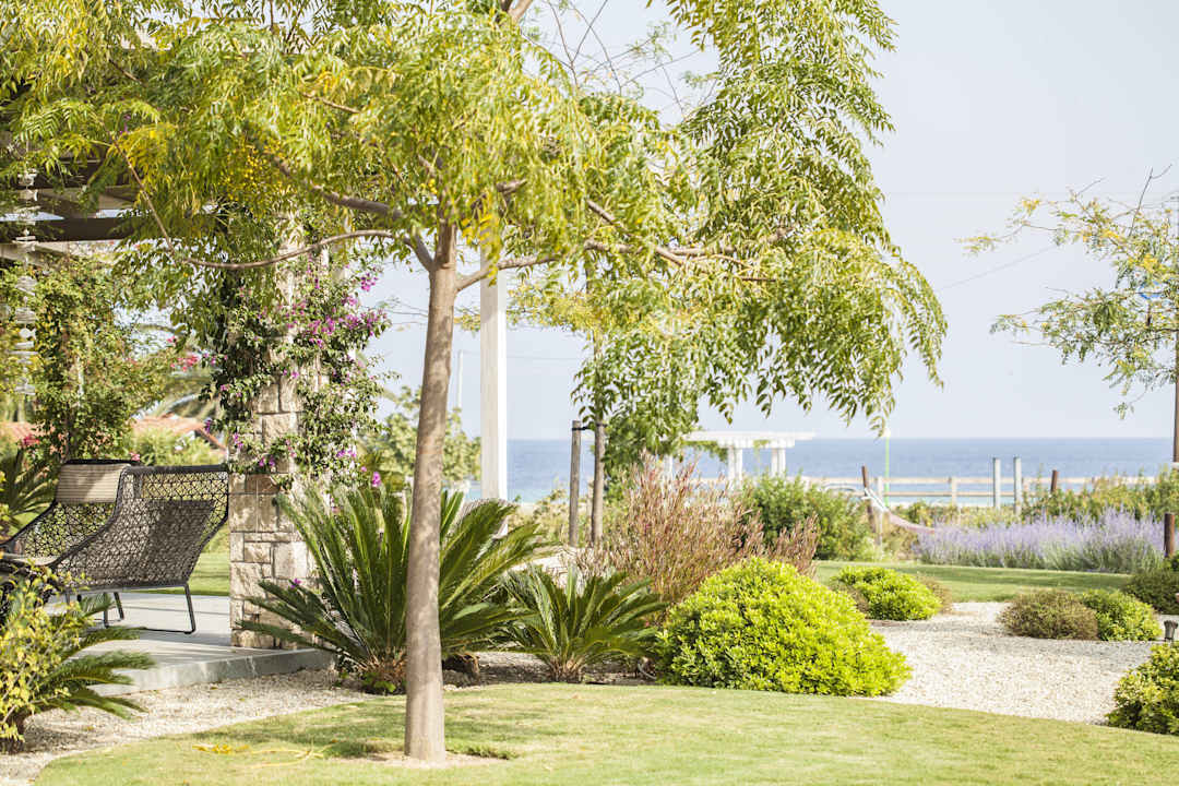 Exterior View Ammouda Villas