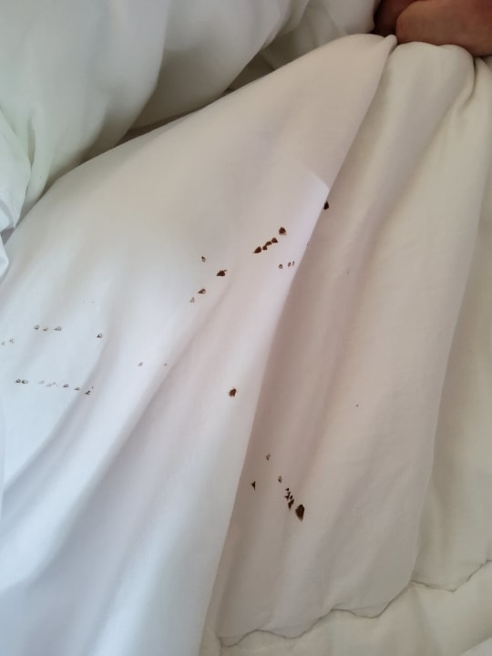 Zimmer Hotel Gutshaus Redewisch