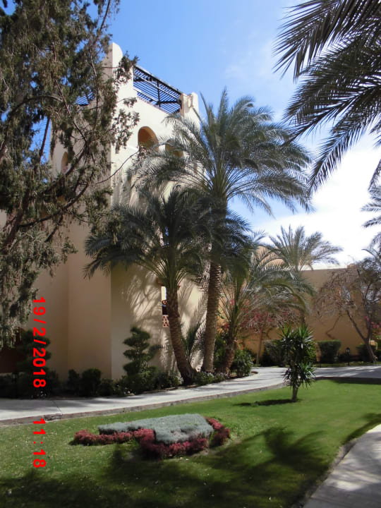 Gartenanlage Steigenberger Coraya Beach - Adults only