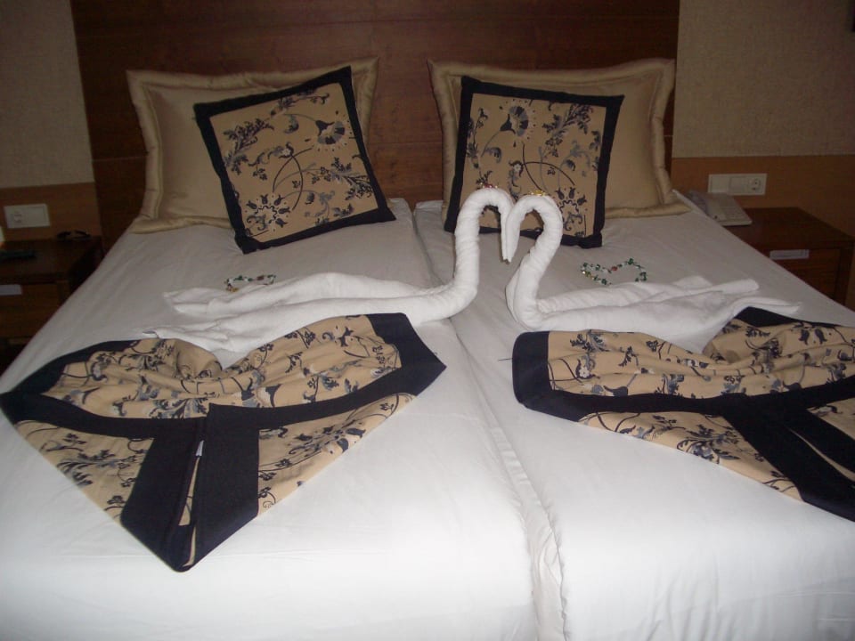 Immer wieder kunstvoll Trendy Aspendos Beach Hotel