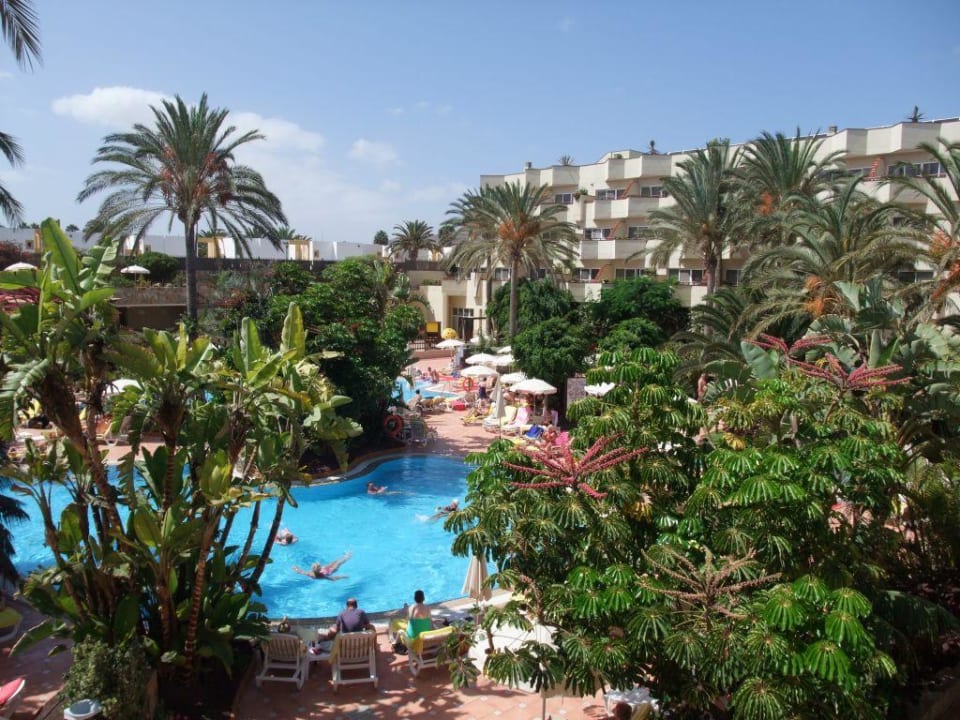 Blick auf den Pool Barceló Corralejo Bay - Adults only