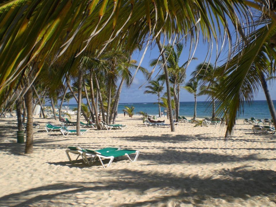 Einfach nur Strand! Hotel Riu Bambu