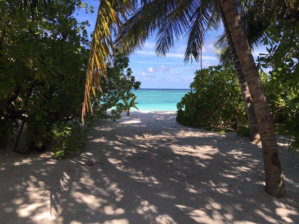 Summerisland!!! Summer Island Maldives