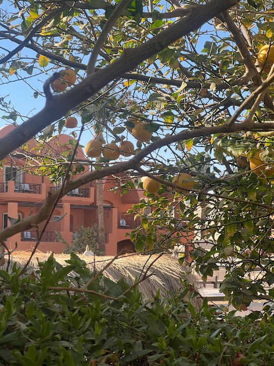 Außenansicht Jaz Makadi Oasis Resort