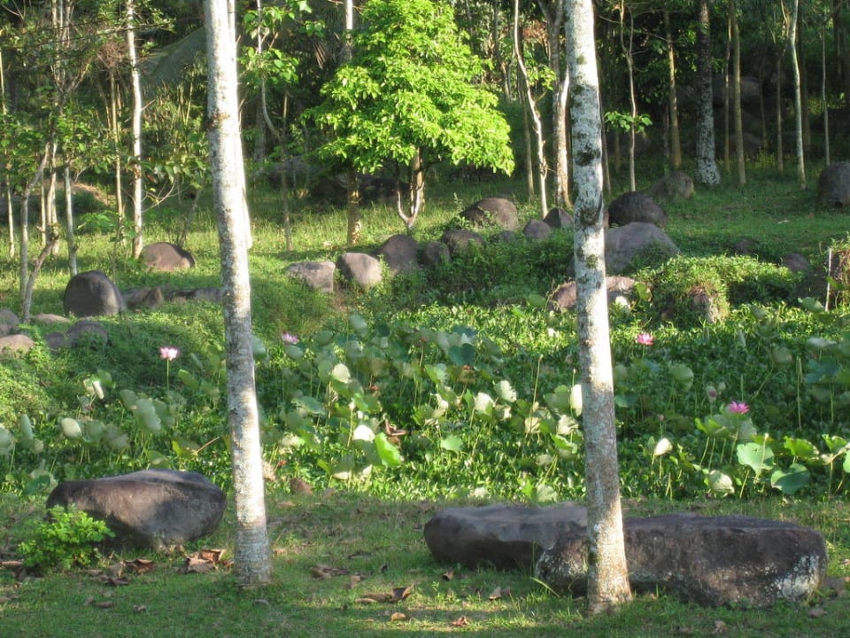 Teich Margo Utomo Agro Resort
