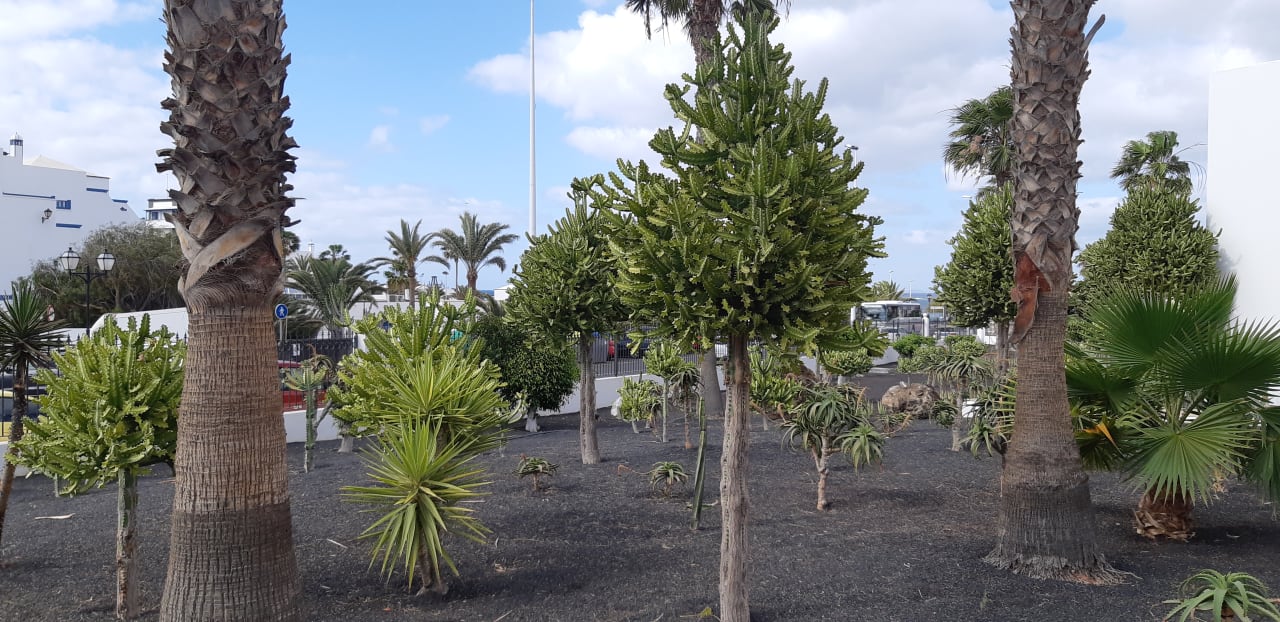 Gartenanlage Hotel Floresta