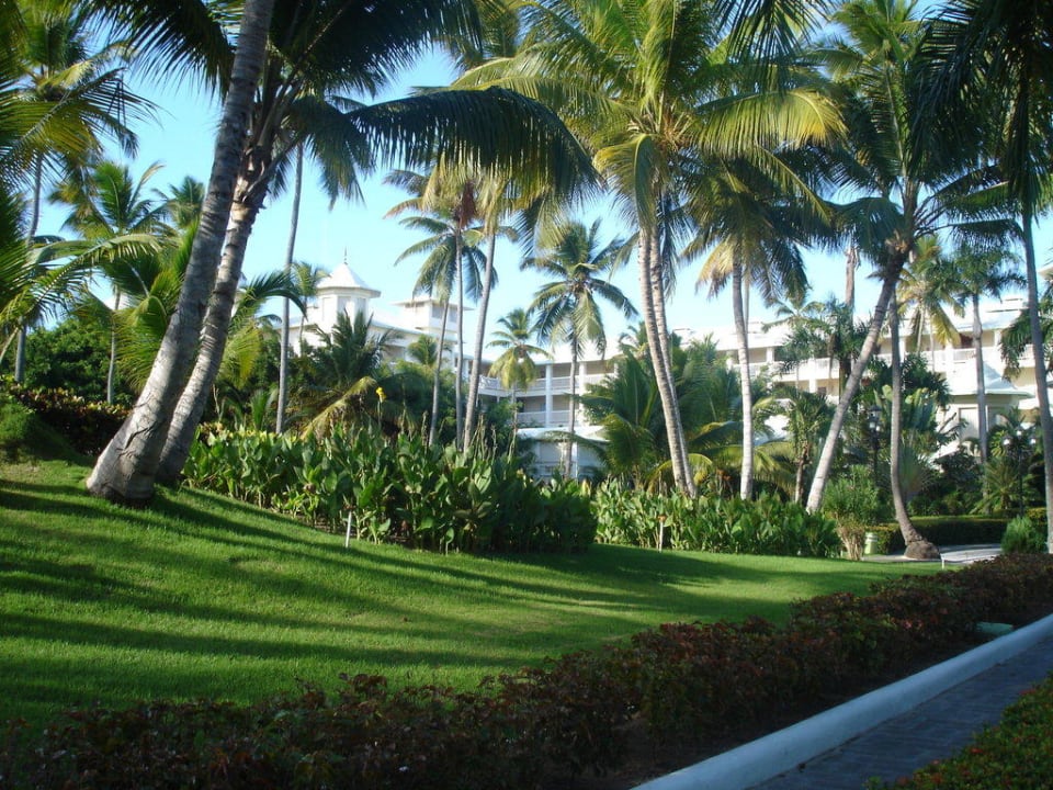 Gartenanlage Hotel Riu Palace Macao - Adults only