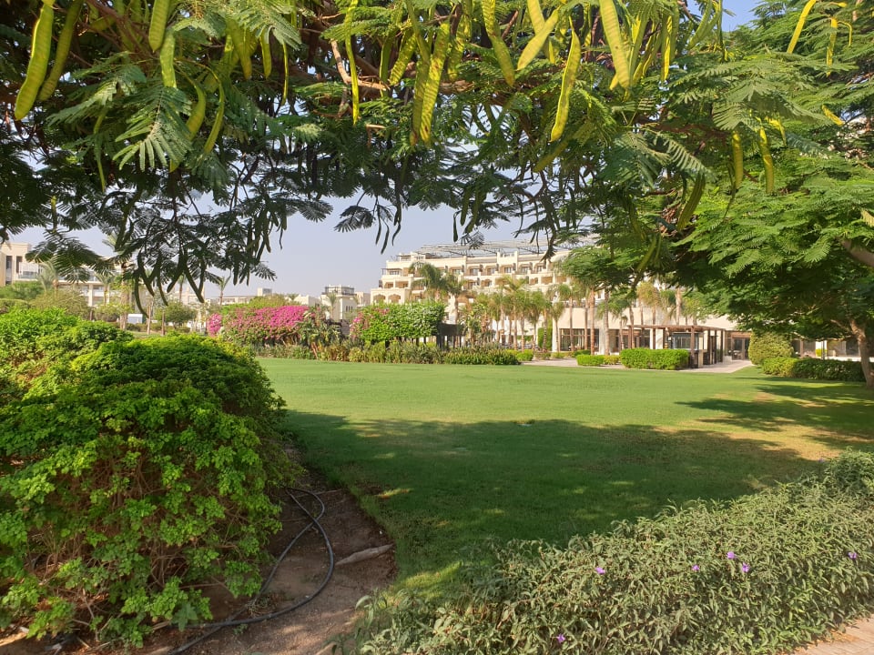 Gartenanlage Steigenberger ALDAU Beach Hotel