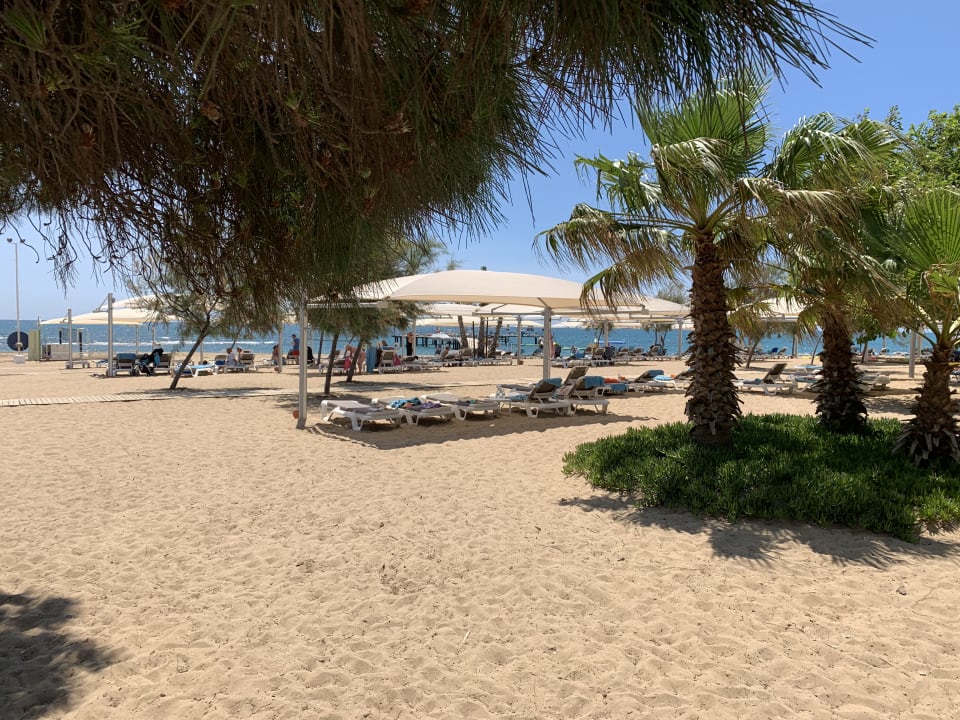 Strand ROBINSON PAMFILYA