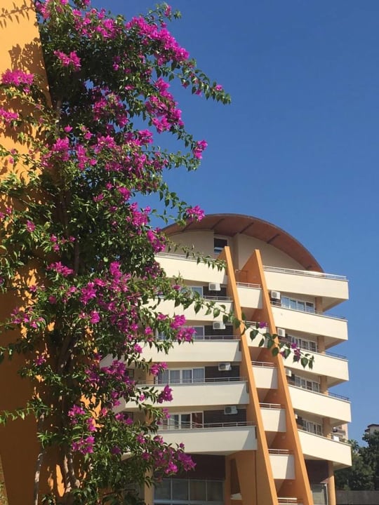 Außenansicht Alaiye Resort & Spa