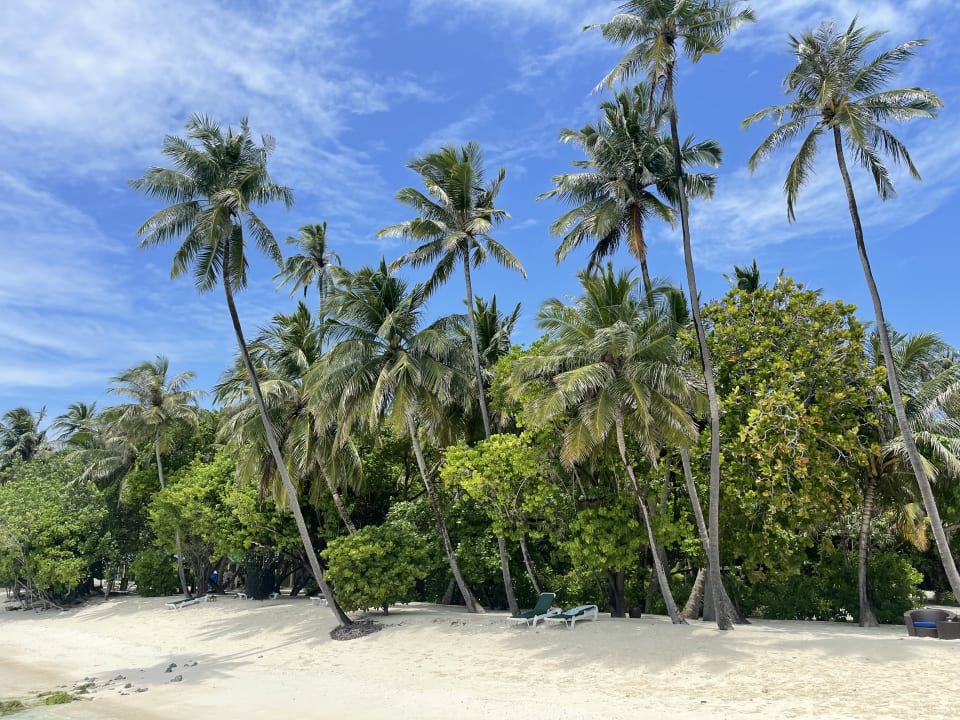 Strand Meeru Maldives Resort Island