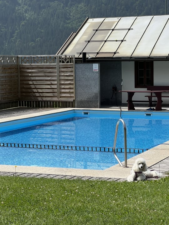 Pool Landhof zum Waidegger Wirt