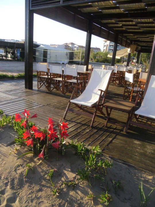 Strandbar Hane Family Resort