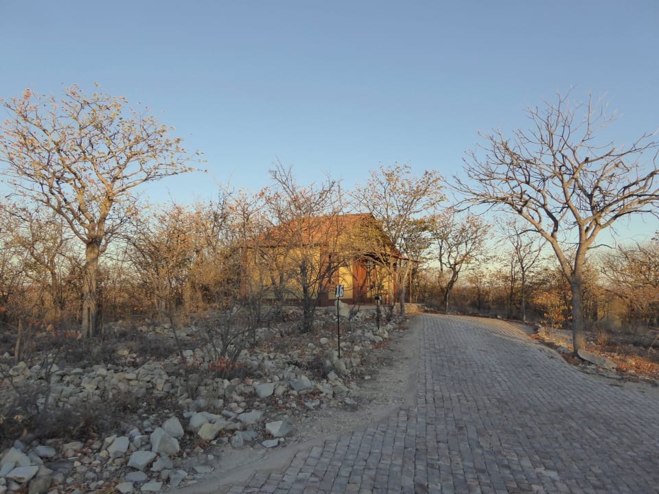 Anlage Etosha Safari Camp