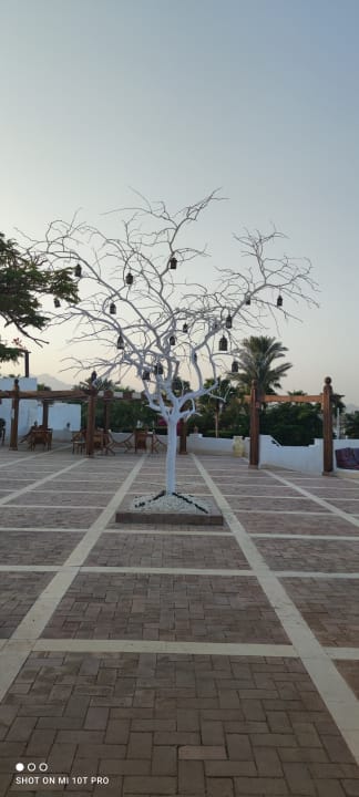 Gartenanlage Sharm Club Beach Resort