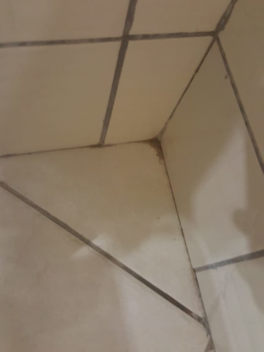 Zimmer Starlight Resort Hotel