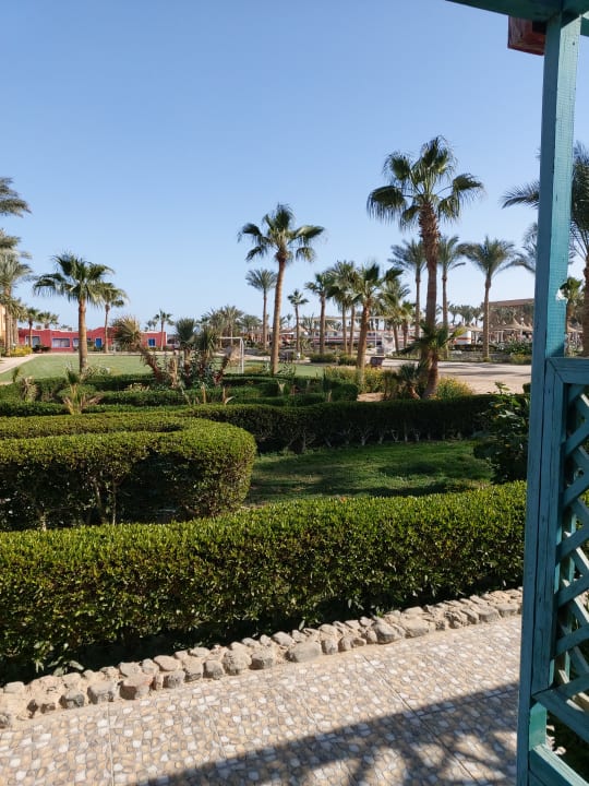 Zimmer Giftun Azur Resort