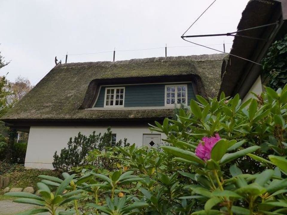 Parkähnliche Anlag Meeressterne Hotel Forsthaus Damerow