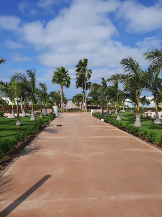 Gartenanlage Hotel Riu Palace Boavista