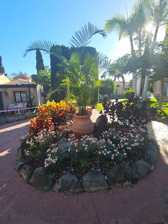 Gartenanlage allsun Hotel Esplendido