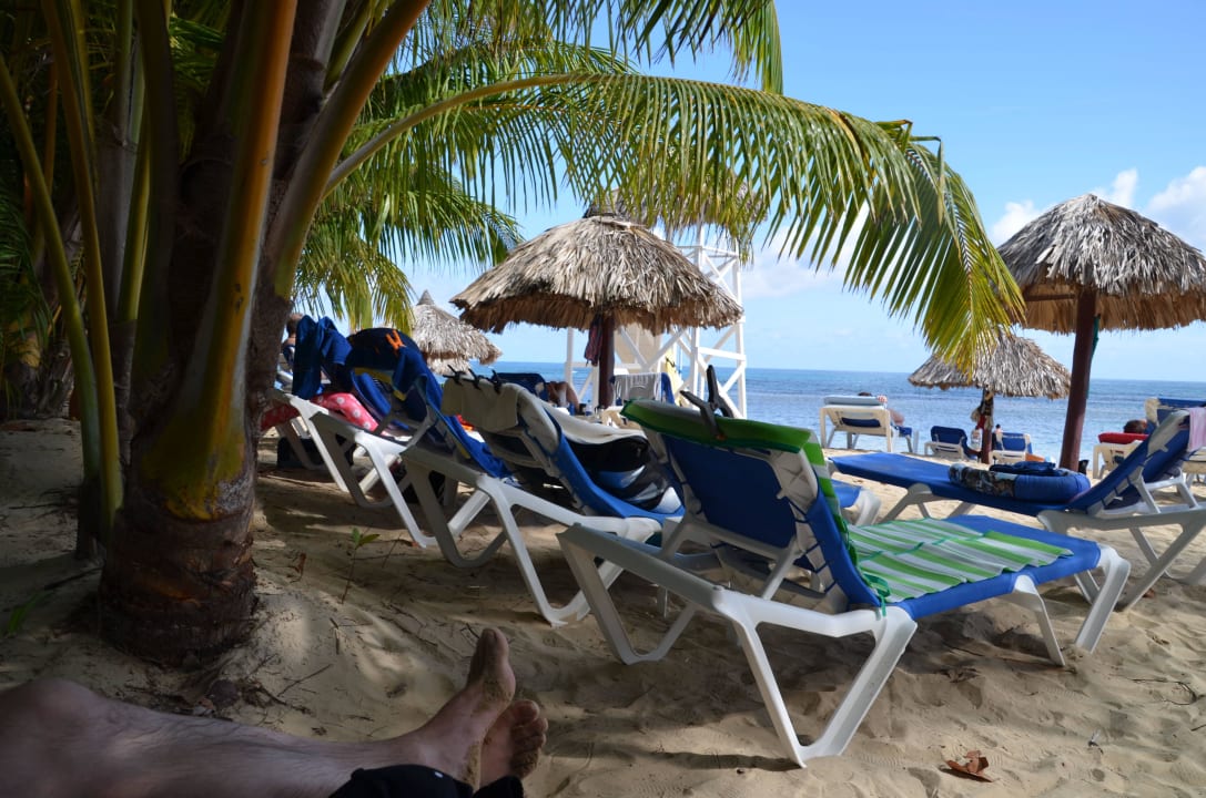 Von unserer Liege  Bahia Principe Grand El Portillo