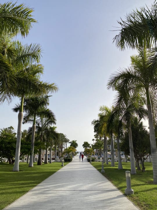 Gartenanlage Hotel Riu Palace Meloneras