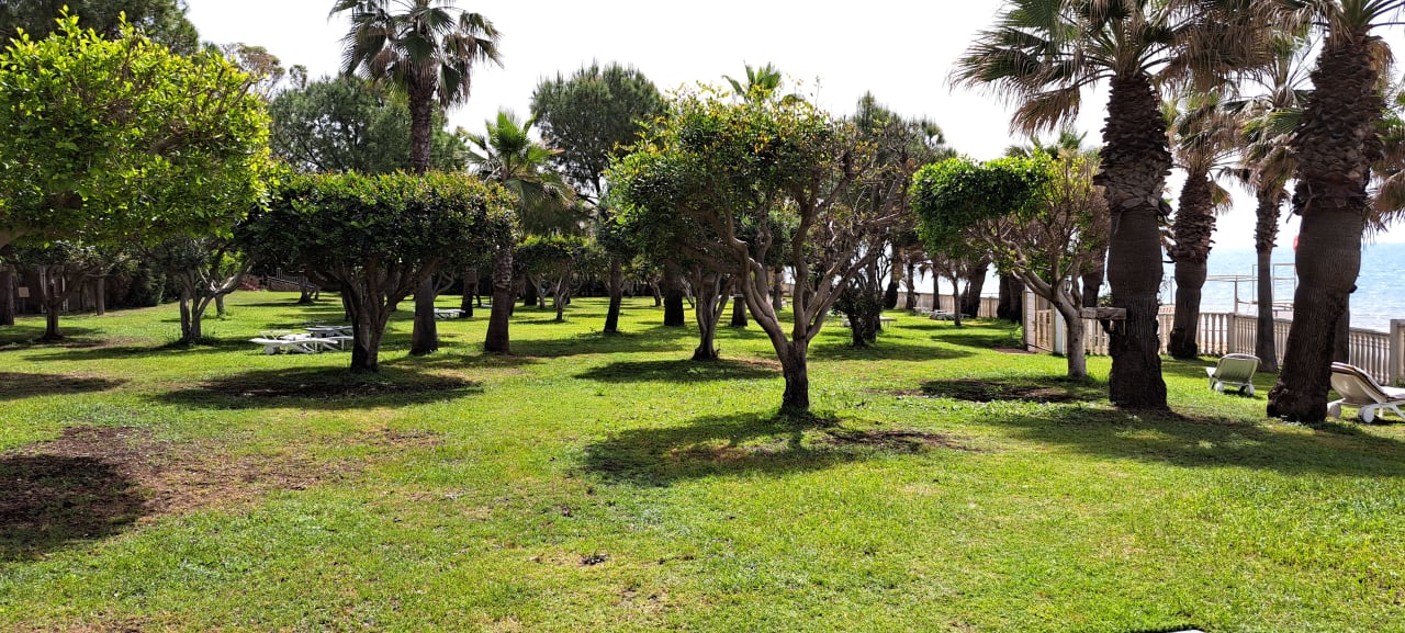 Gartenanlage Hotel Defne Dream