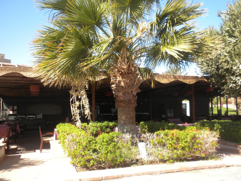 Strandrestaurant Fort Arabesque Resort, Spa & Villas