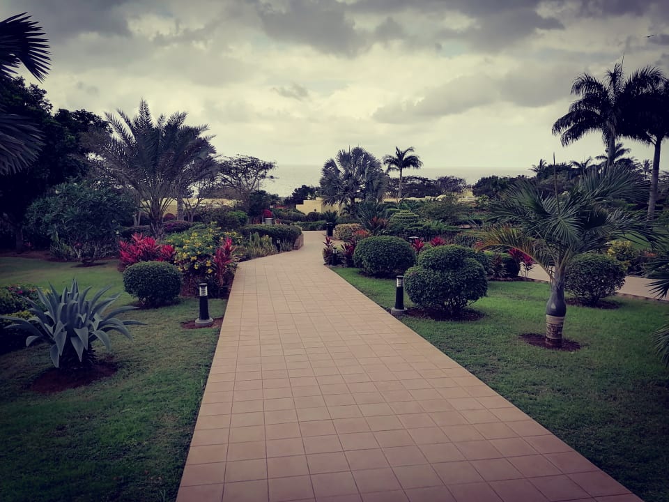 Gartenanlage Hotel Riu Palace Zanzibar